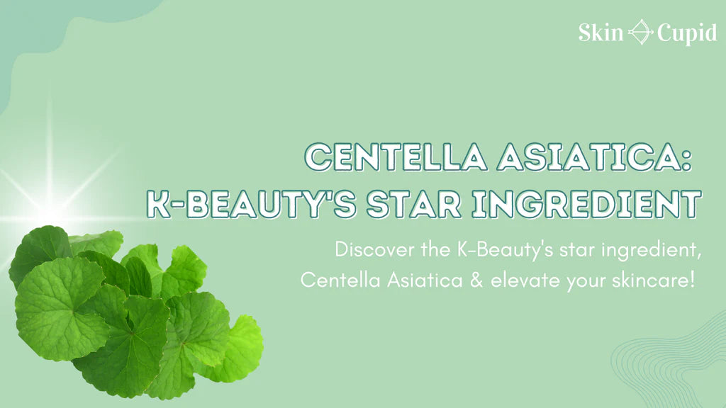 Skin Care Benefits of Centella Asiatica